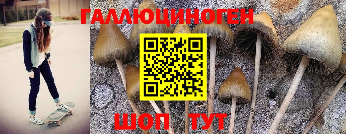 Псилоцибиновые грибы Magic Shrooms  Вход с VPN  Ухта  Галлюциногенные грибы GOLDEN TEACHER 