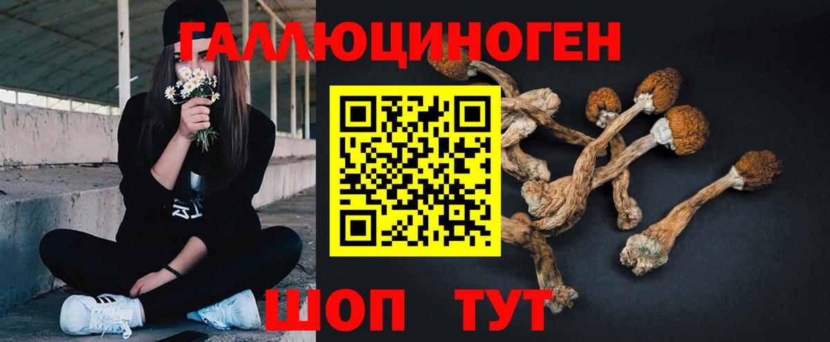 Псилоцибиновые грибы мицелий Ухта